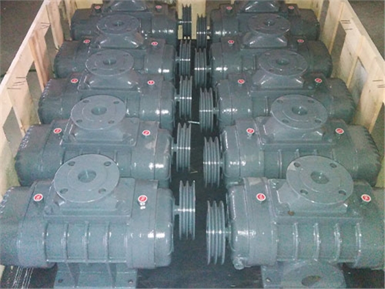 龍鐵直立式鼓風(fēng)機(jī) 龍鐵直立式鼓風(fēng)機(jī)