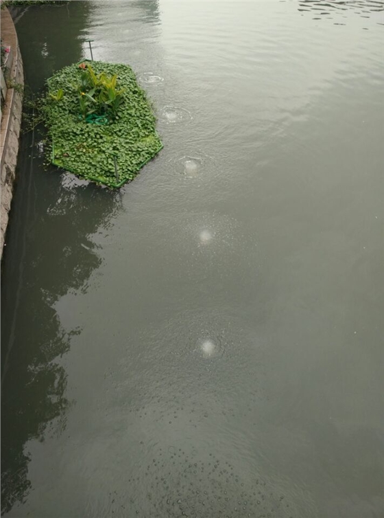 龍鐵沉水式鼓風(fēng)機(jī)廠家 龍鐵沉水式鼓風(fēng)機(jī)廠家