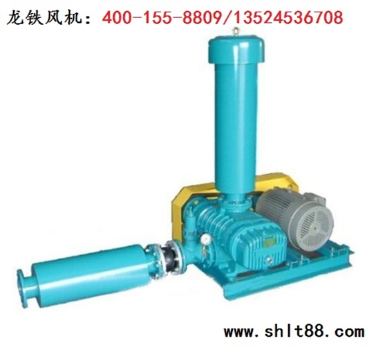 龍鐵羅茨鼓風(fēng)機(jī).jpg 龍鐵羅茨鼓風(fēng)機(jī).jpg