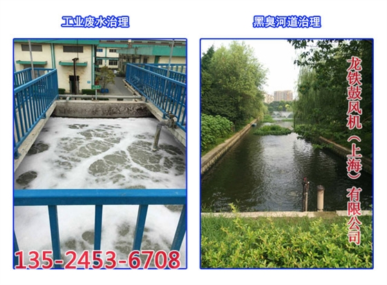 污水處理鼓風(fēng)機