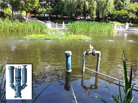 沉水見機安裝效果圖 沉水見機安裝效果圖