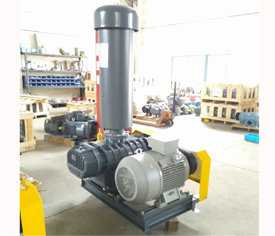 龍鐵羅茨風(fēng)機(jī) 龍鐵羅茨風(fēng)機(jī)