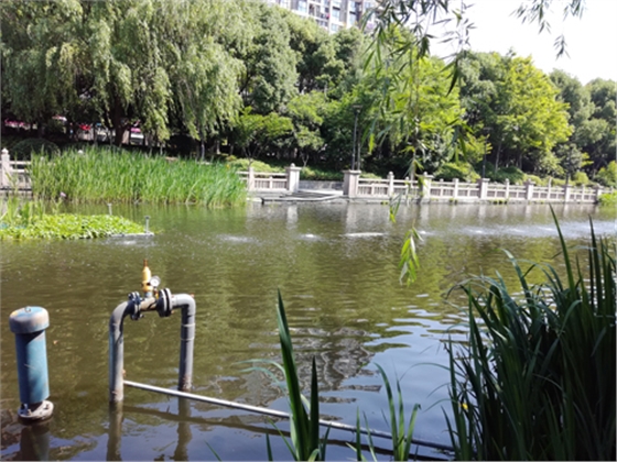 沉水風(fēng)機安裝效果