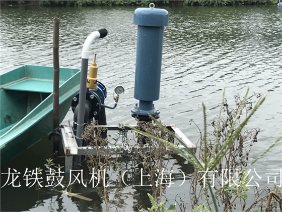 龍鐵沉水式鼓風機多少錢？.jpg