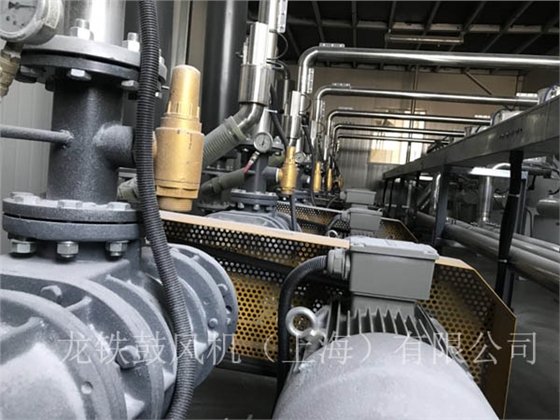 羅茨鼓風機正負荷運行.jpg 羅茨鼓風機正負荷運行.jpg