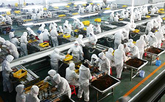 龍鐵鼓風(fēng)機(jī):為你的生產(chǎn)制造服務(wù)保障! 龍鐵鼓風(fēng)機(jī):為你的生產(chǎn)制造服務(wù)保障!