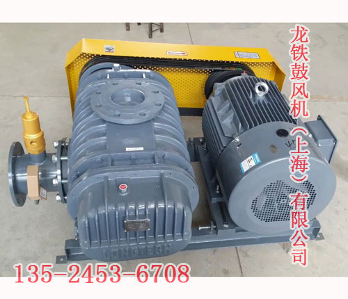 沼氣專用羅茨風機