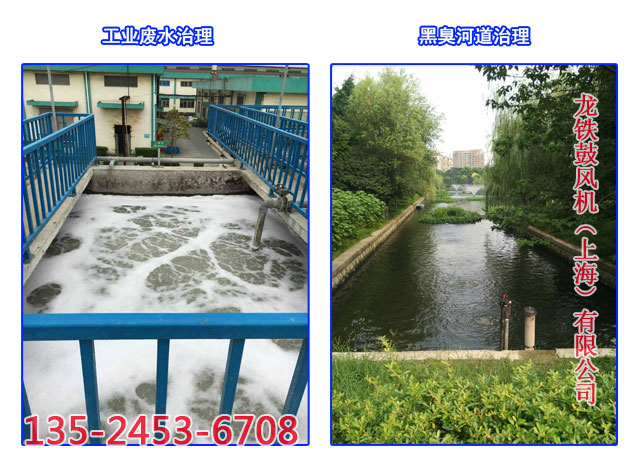 污水處理鼓風(fēng)機