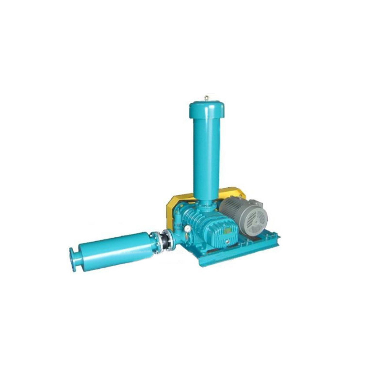 羅茨鼓風(fēng)機