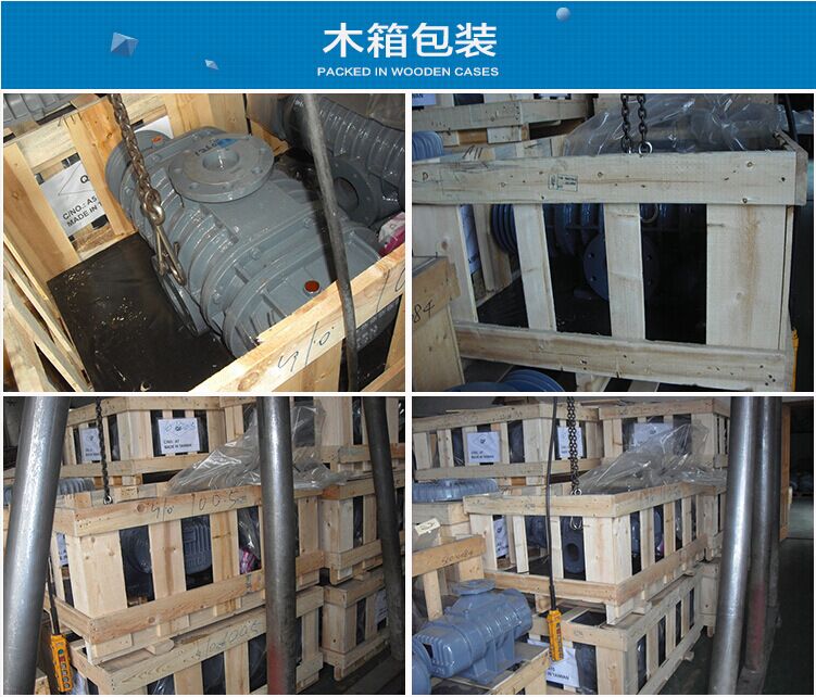 羅茨風(fēng)機(jī)廠家 羅茨風(fēng)機(jī)廠家