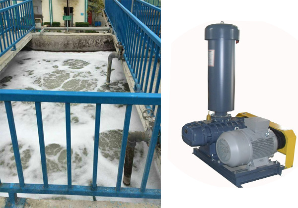 污水處理羅茨鼓風(fēng)機5.9.jpg 污水處理羅茨鼓風(fēng)機5.9.jpg