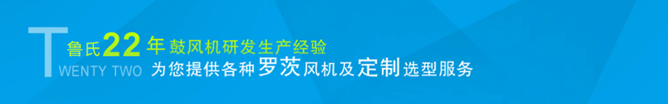 龍鐵鼓風(fēng)機(jī)--中國(guó)羅茨鼓風(fēng)機(jī)供應(yīng)商